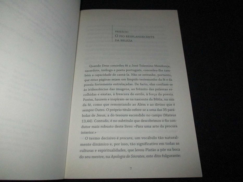 Livro O Tesouro Escondido José Tolentino Mendonça 7ª edição