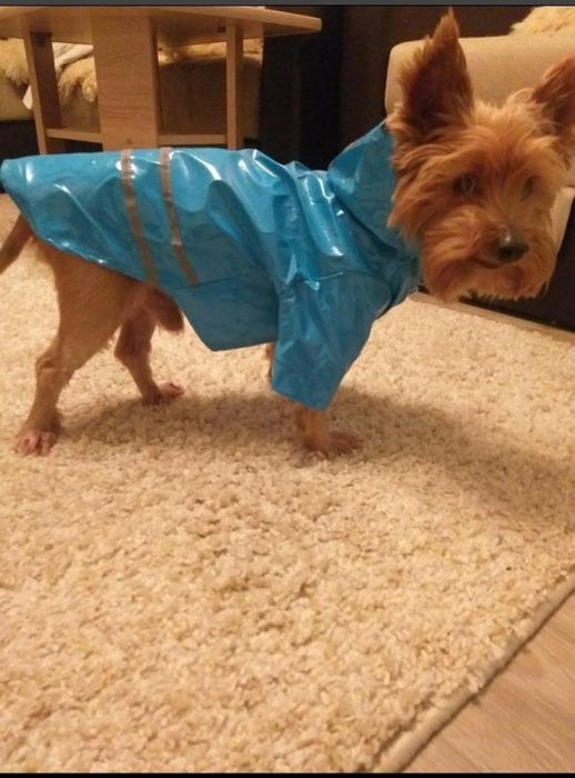 Плащ для собаки рефлекторный