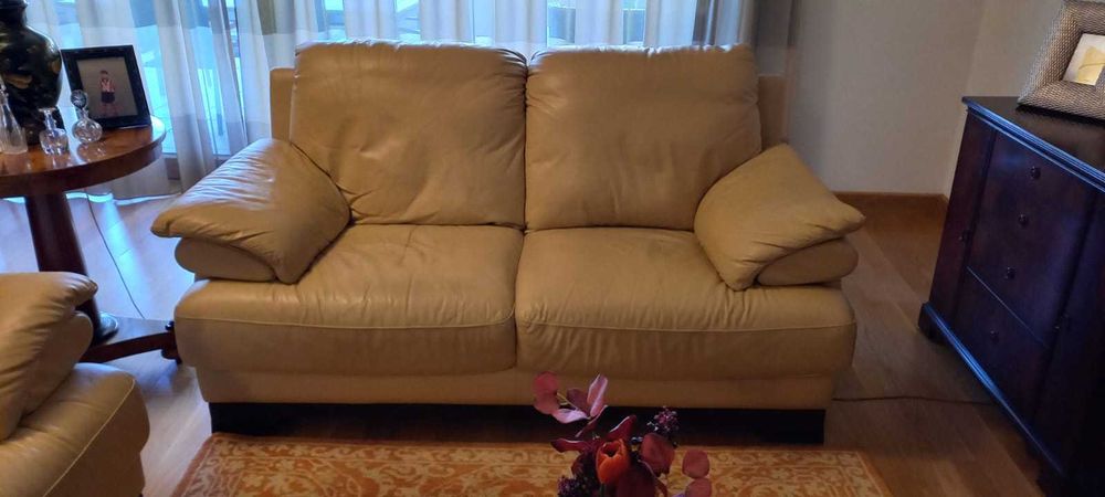 SOFÁS EM PELE ( 2 unidades ) - 125€ cada; em conjunto 200€