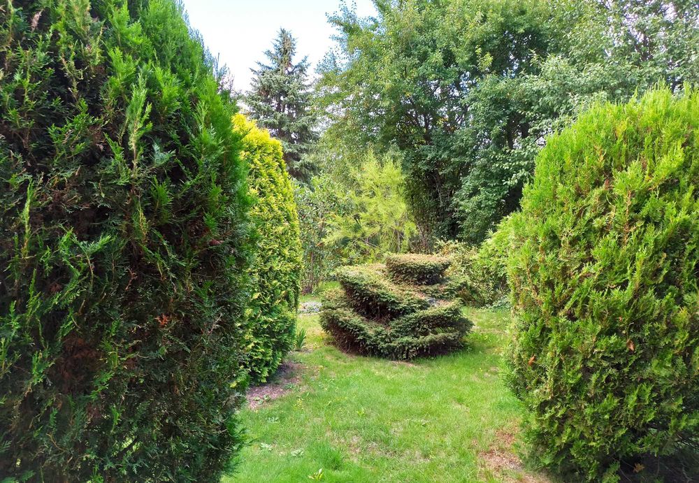 Działka ROD "Gaj" 300 m² w Warszawie ul. Janowiecka - Widok 3