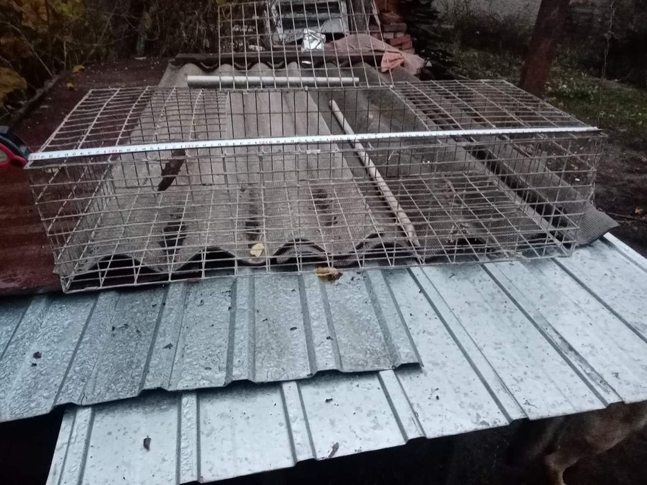 Клетки для перевоза птицы (кур, утей)