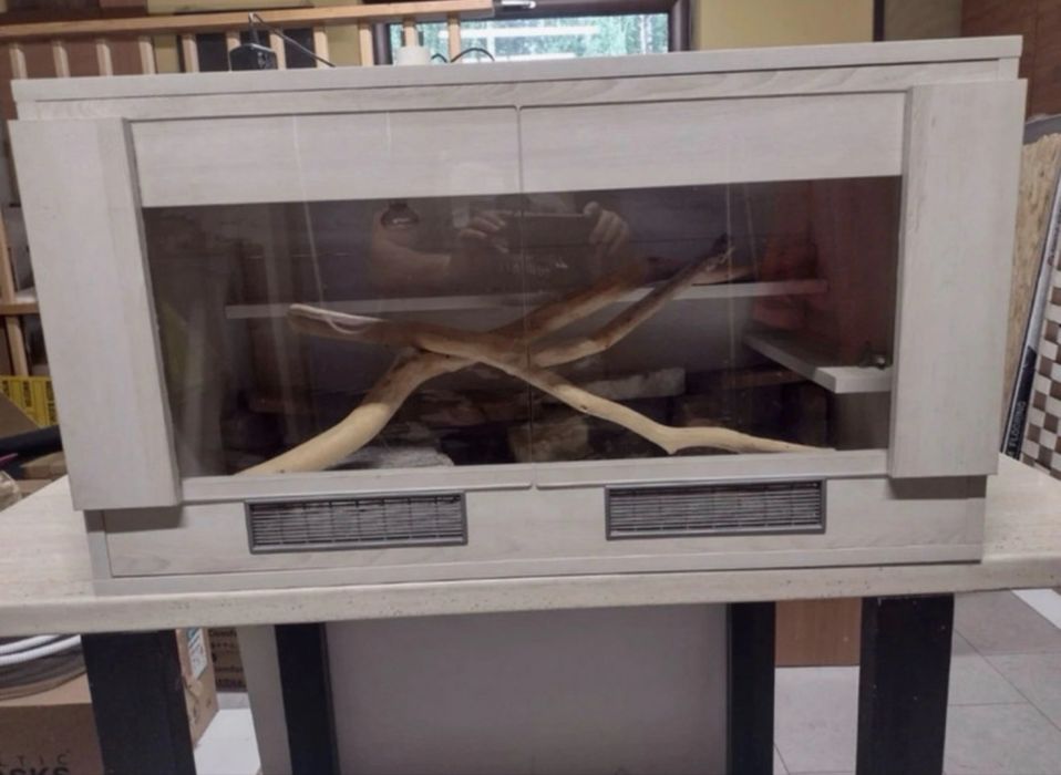Terarium dla jaszczyrek