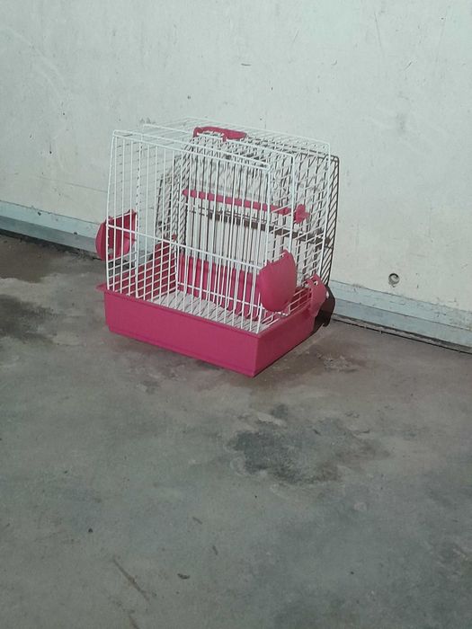 Gaiola de aves cor de rosa