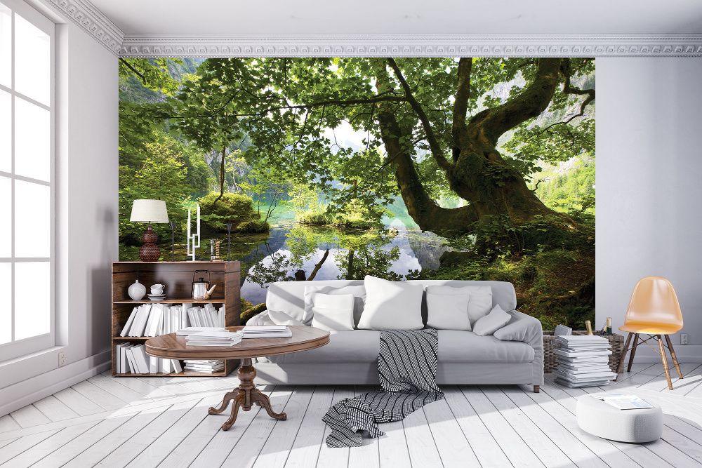 Tapeta, fototapeta : Las i piękne liście szer 312 x wys 219 cm