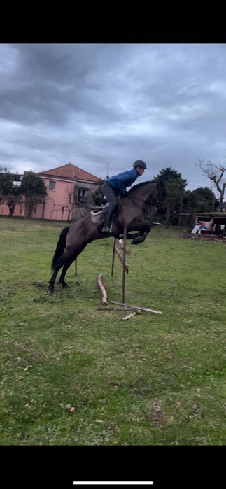 Ponei de obstáculos