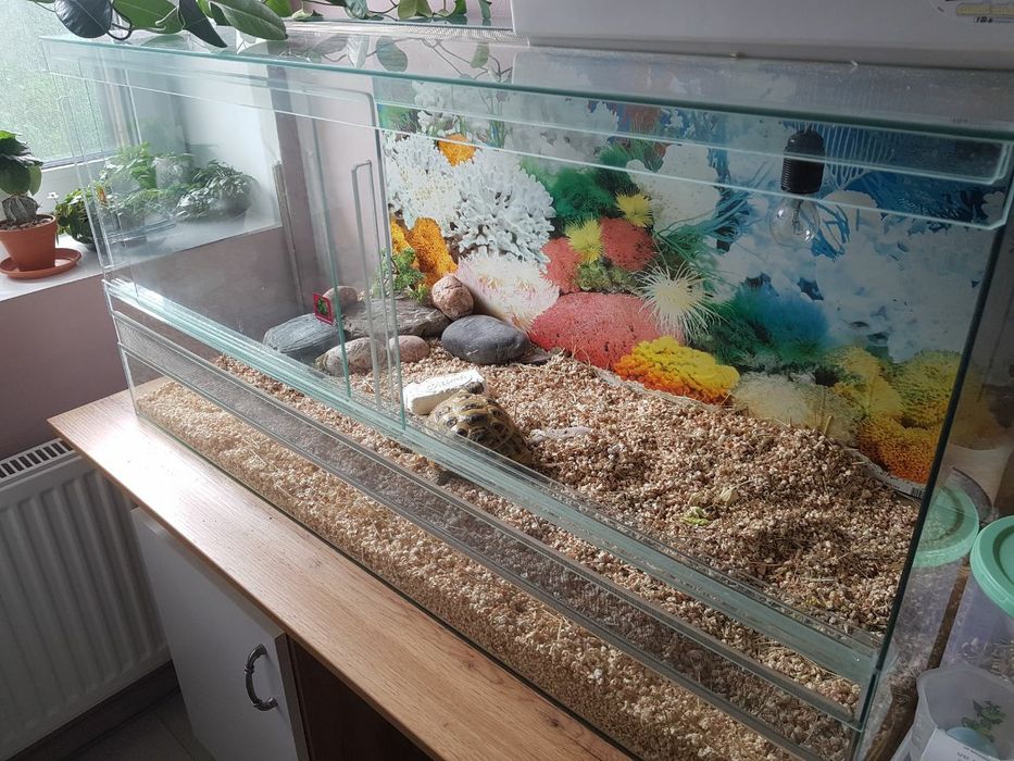 Продам террариум! 100×50×50! Полный комплект!