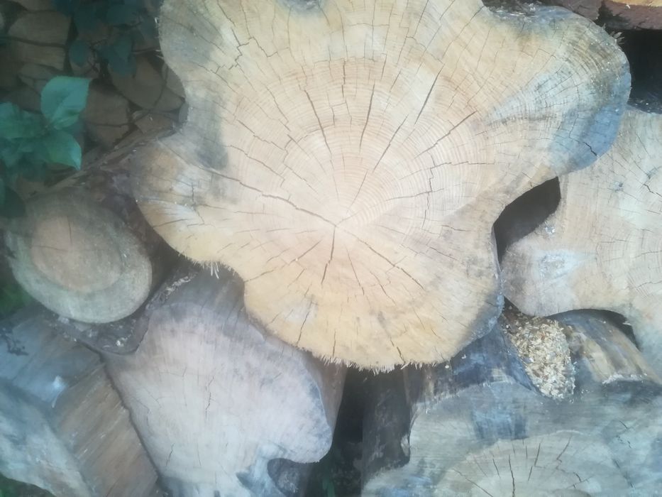 Drewno opałowe kominkowe rąbane