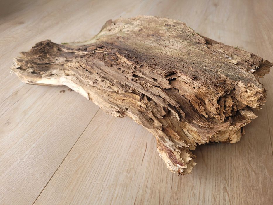 naturalny korzeń 30 / 15 cm do akwarium terrarium klatki gekon agama