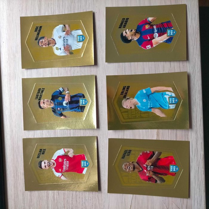 Panini - FIFA 365 ano 2024