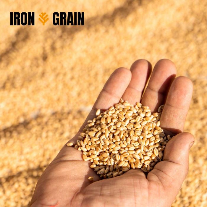 Silos płaskodenny Silosy płaskodenne NOWY Polski Producent 10T - 2000T