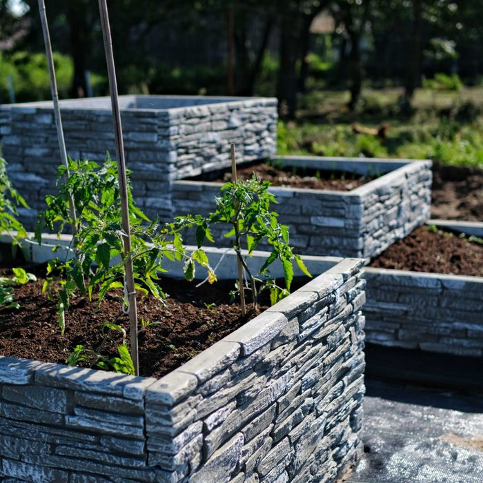 Warzywnik betonowy o imitacji kamienia, skrzynie na warzywniak ogród