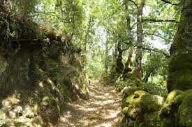 Casa rústica em pedra P.N.P.Gerês