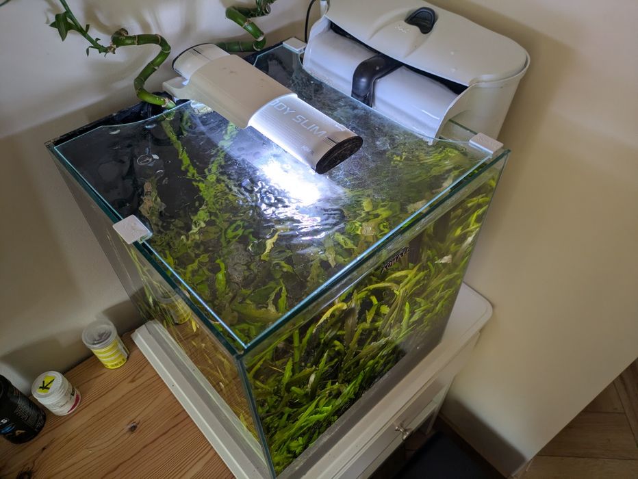 Akwarium kostka Aquael 49L