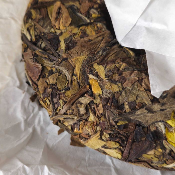 Белый чай 2021 года ❱ Сяо Бай Тянь ❰ прессованный 100г