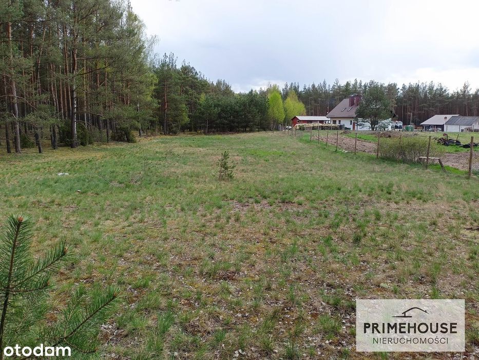 Dom – Rzepiczna - Widok 5