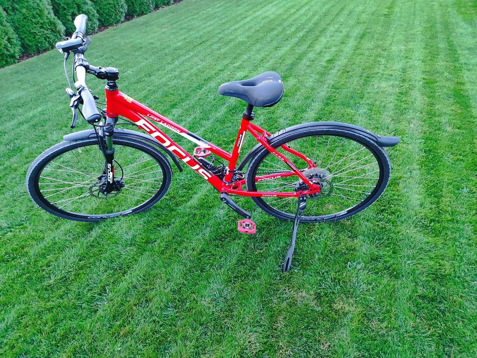 Focus Lost Lagoon Rama M Koła 28