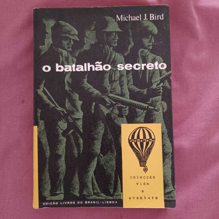 Lote de livros diversos temas