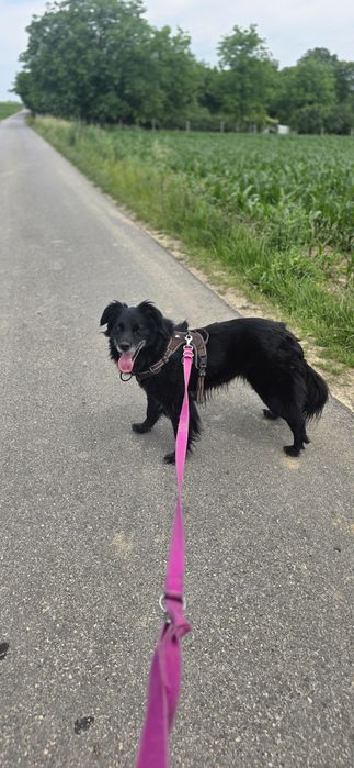 Kochana sunia do adopcji