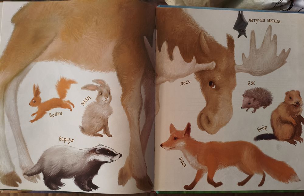 Набор детских книг