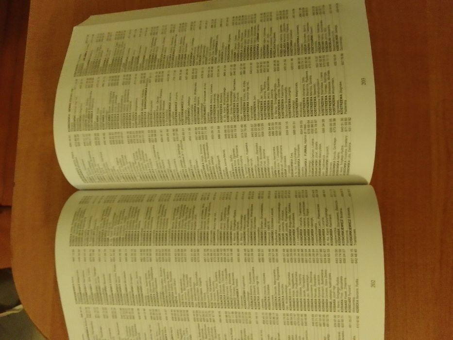 Książka telefoniczna Łódź i powiaty 2010/2011