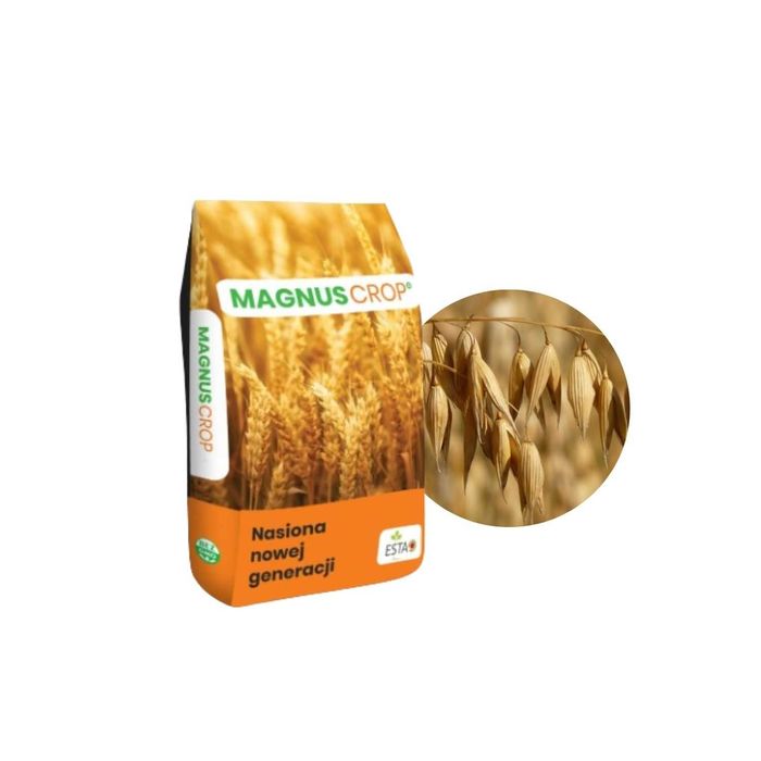 OWIES JARY BINGO POKER Gepard 100KG Nasiona do siewu kwalifikat C1