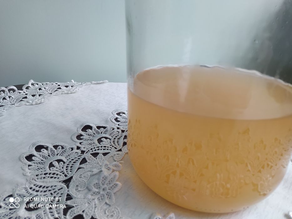 Ocet jabłkowy naturalny