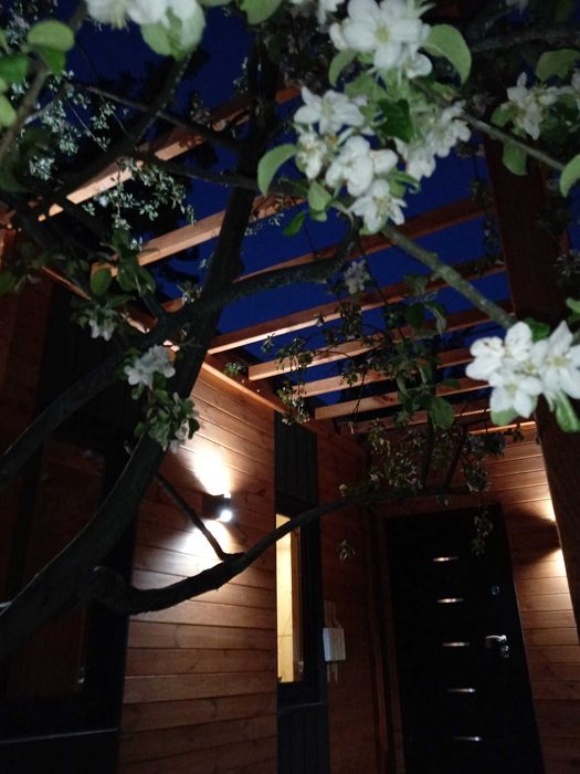 Модульний будинок для ПМЖ за 2 місяці: готовий ремонт, візуалізація!