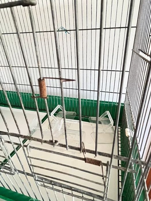 Viveiro para Reabilitação de Animais de Pequeno Porte ou Aves Vintage