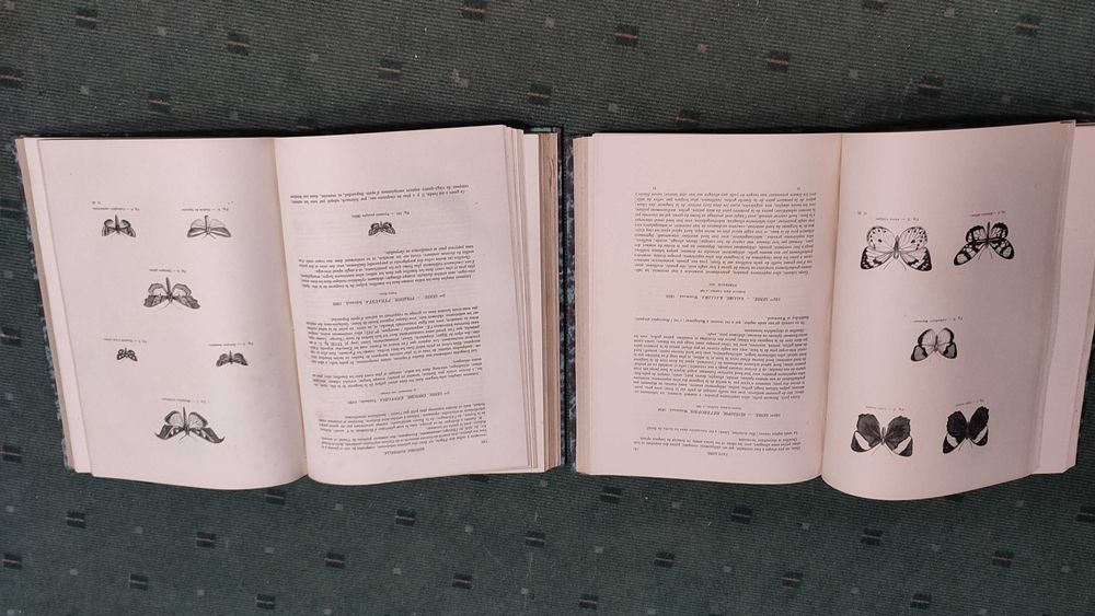 Encyclopédie D'Histoire Naturelle Traité Complet -Papillons - 2 Vol