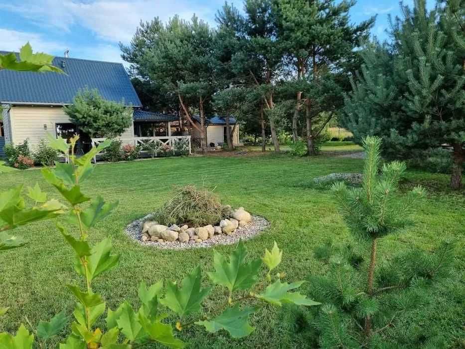 Dom – Sasino, Kolonia Sasino Drugie - Widok 4