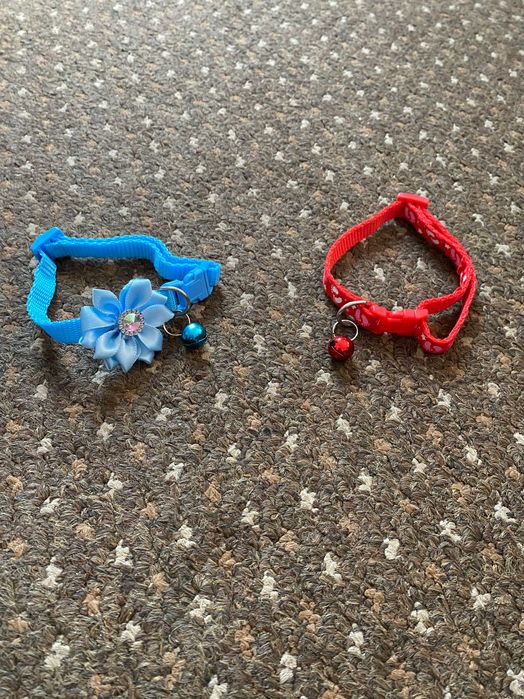 нашийники для котів собак