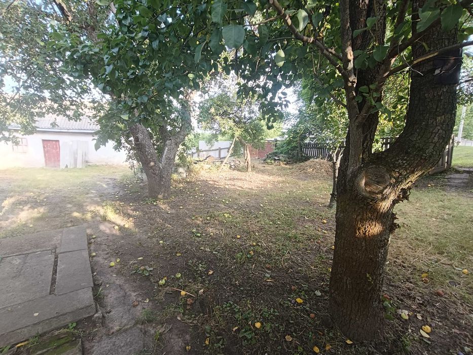 Будинок с.Кропивна з виходом до водойми!