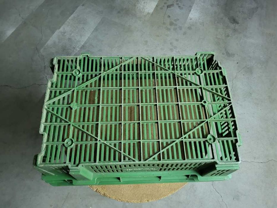 Plastic Basket64585189973763122