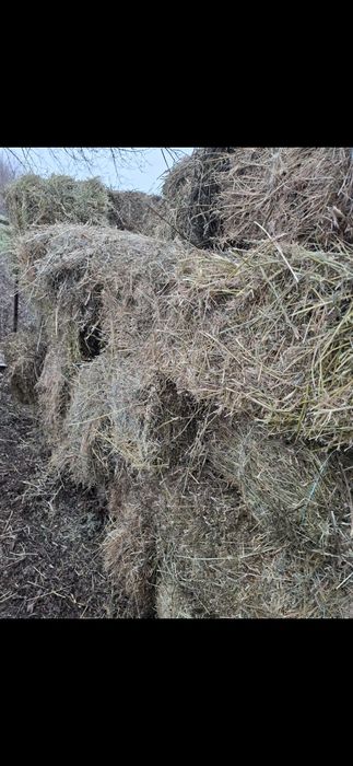 Сіно різнотрав'я