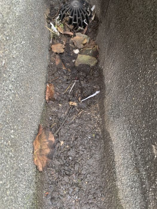 Algerozes limpeza e lavagem de telhados,