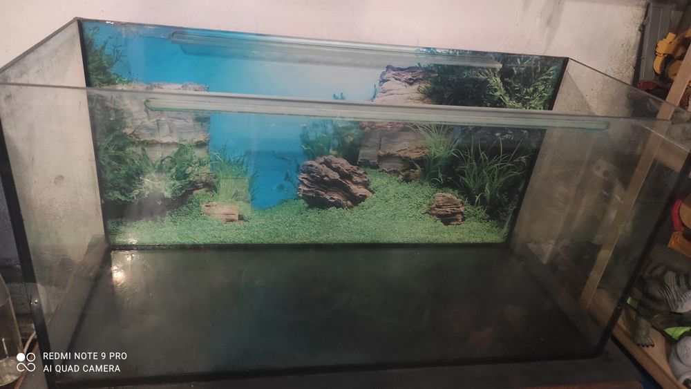 Akwarium 200l...