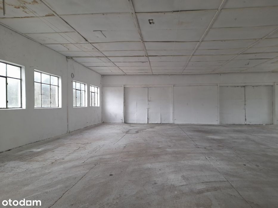 Hala na wynajem