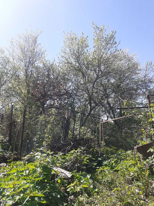 Жилье для беженцев