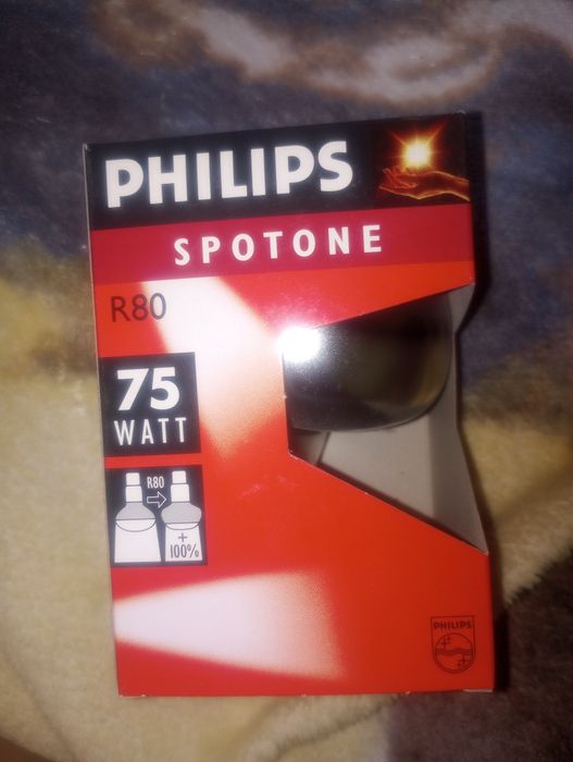 Żarówka reflektorowa Philips Spotone R80 75W