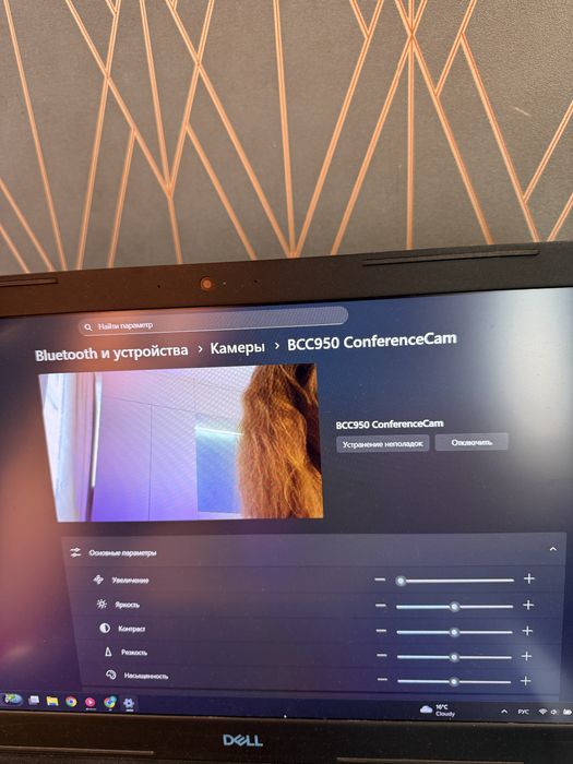 Веб-камера Logitech conference cam BCC950