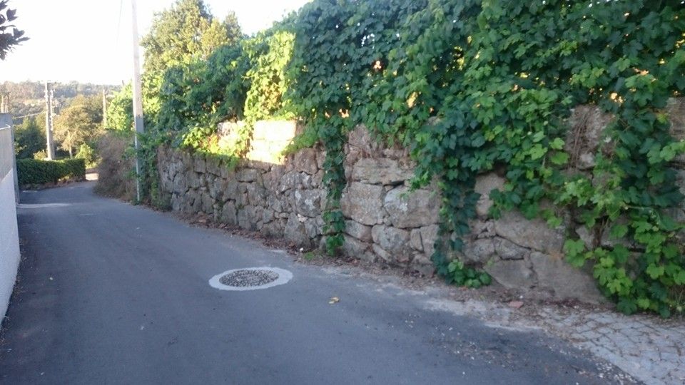 Moradia para reconstrução e Quinta com barracão, canastro e poço.