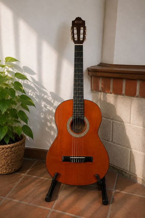Viola guitarra violão