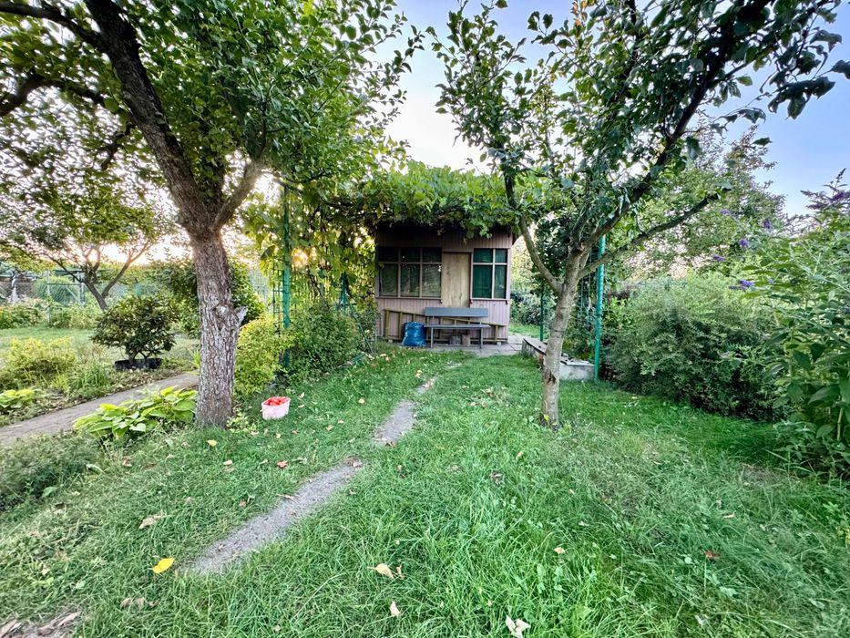 Działka nr 235, ogródek działkowy ROD Różanecznik, ul. Jugosłowiańska, Wrocław - Więcej