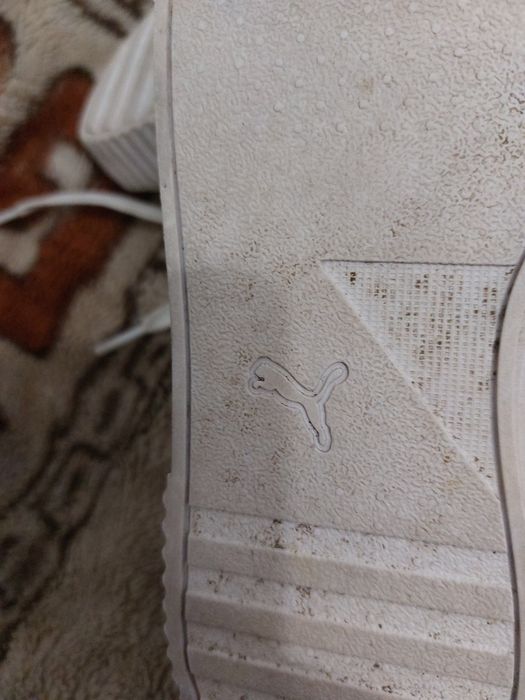 Кросівки    Puma