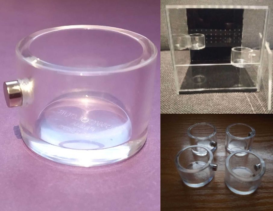 Magnetyczne naczynie na żywność/wodę dla skaczącego pająka, modliszki