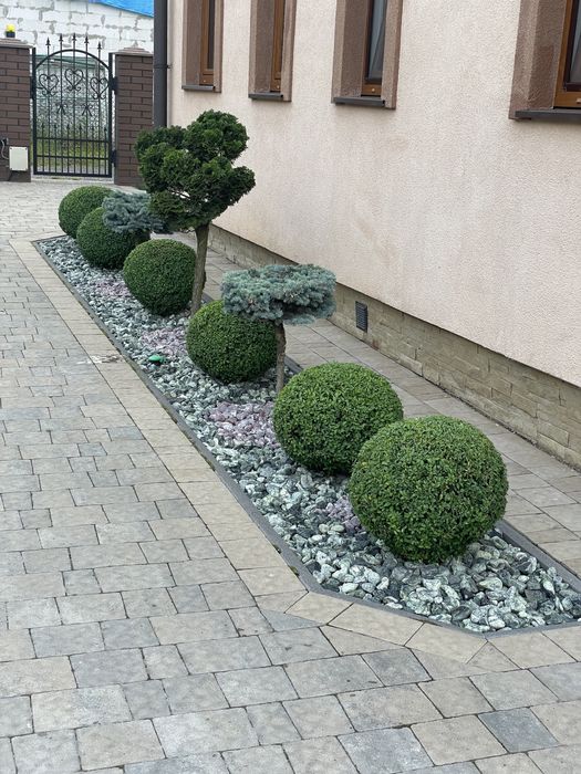 Автополив Газони Посадка рослин формування