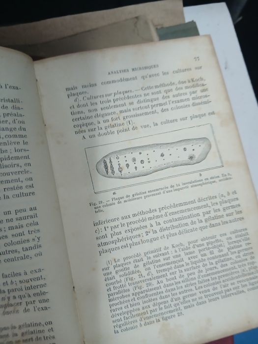 Salomonsen, Technique Elementaire de Bacteriologie  1891