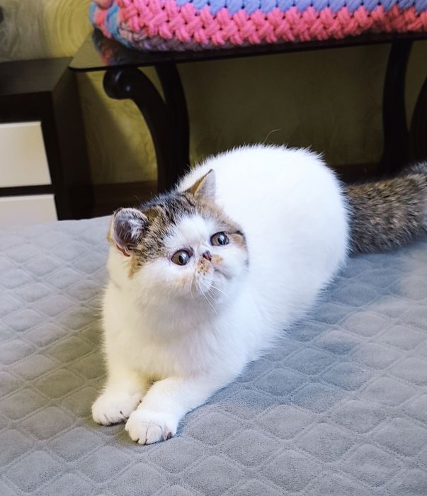 Екзотична дівчинка