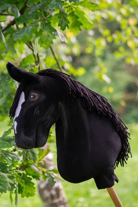 konik hobby horse