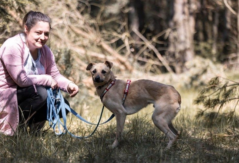 Kostek - trochę wycofany ale fajny psiak
